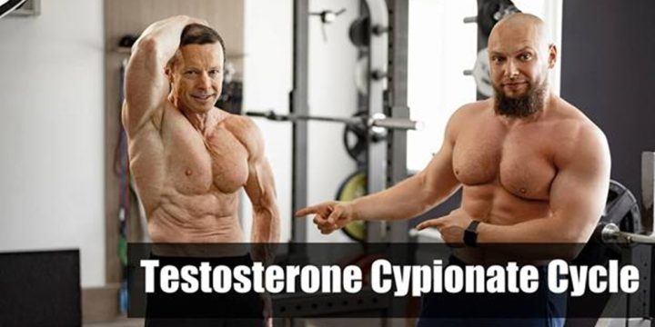 How to Plan Your Testosterone Cypionate Cycle