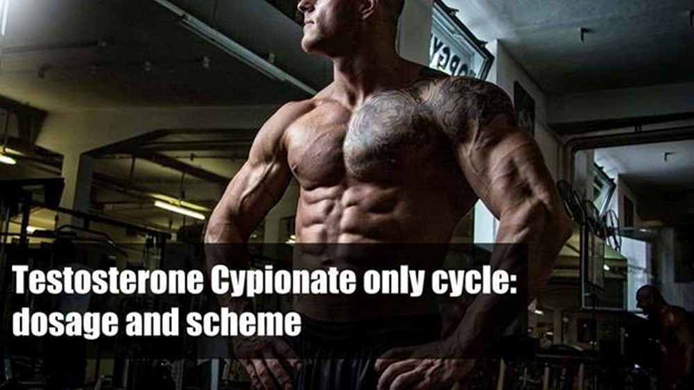 Testosterone Cypionate only cycle: dosage and scheme