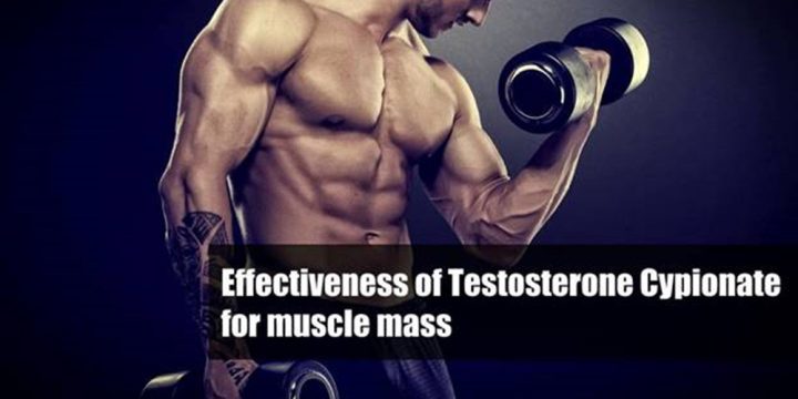 Testosterone Cypionate for Muscle Gain: Get Body You Want