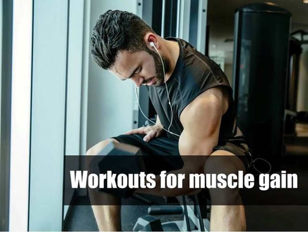 Workouts for muscle gain during steroid cycle