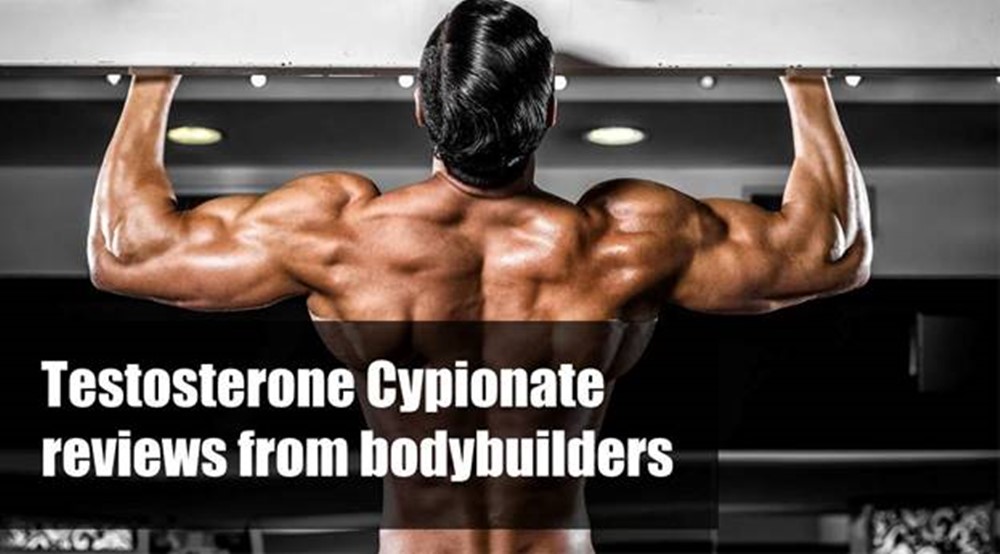 Testosterone Cypionate cycle reviews from bodybuilders