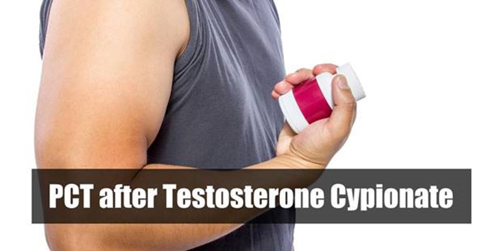 PCT after Testosterone Cypionate